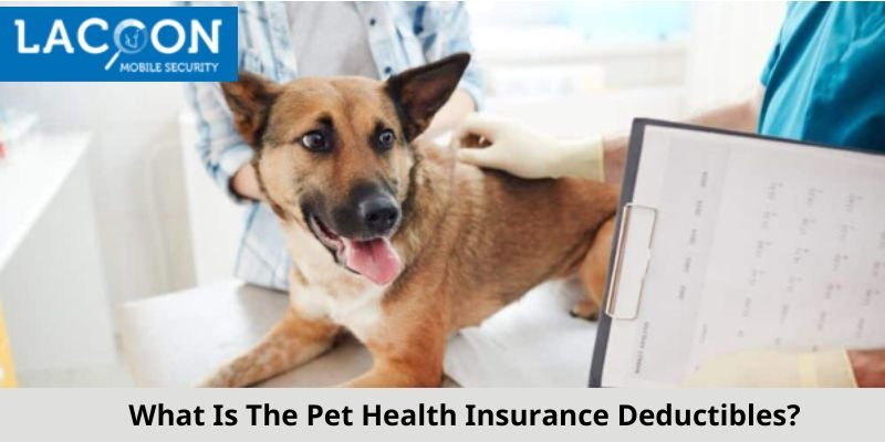 Understanding The Pet Health Insurance Deductibles - Lacoon Mobile Security